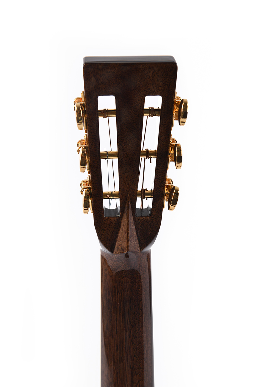 GUITACUSIG308_e.jpg