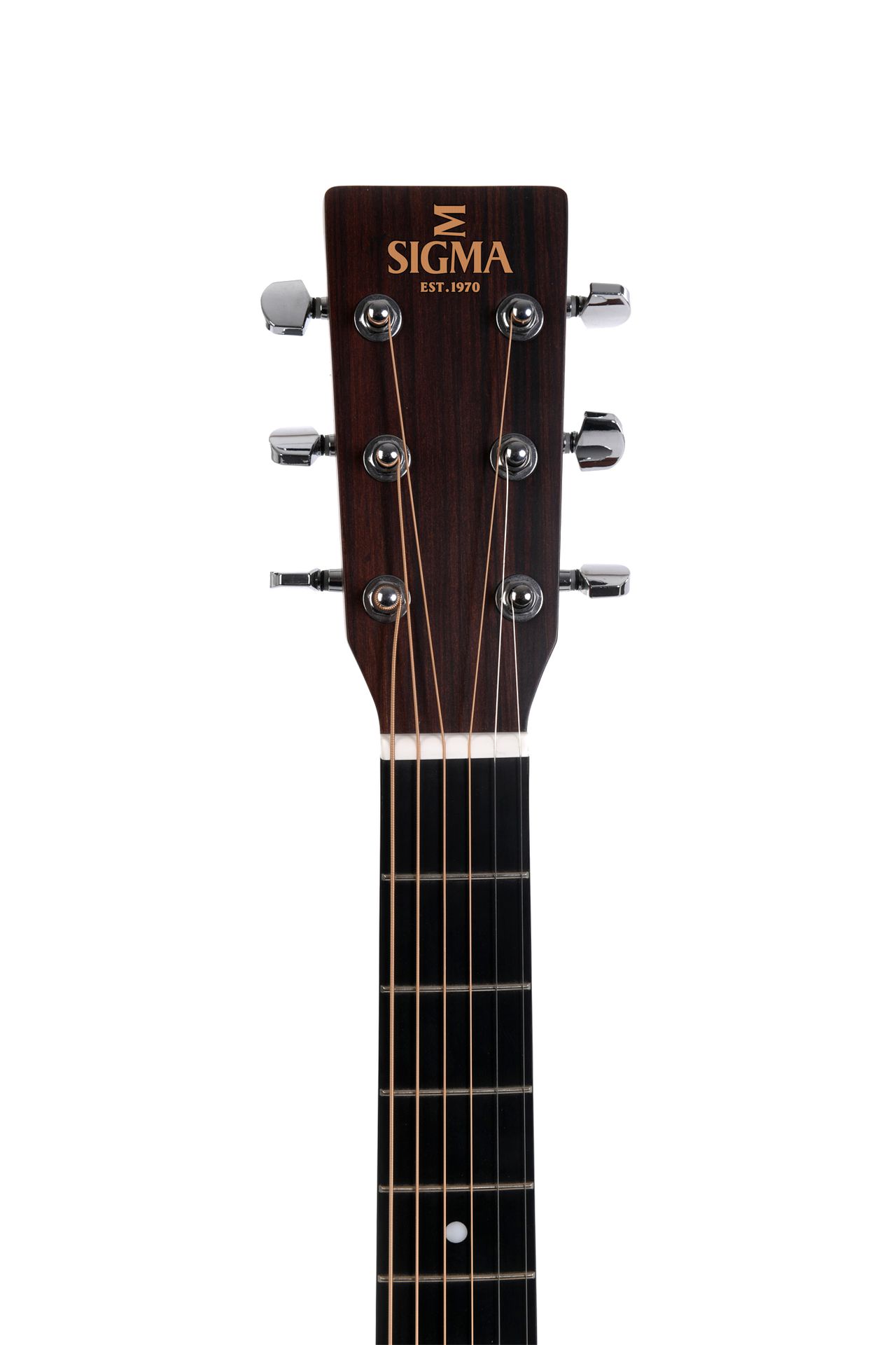 GUITACUSIG361_d.jpg