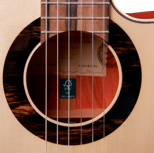 GUITCLAALH119_f.jpg