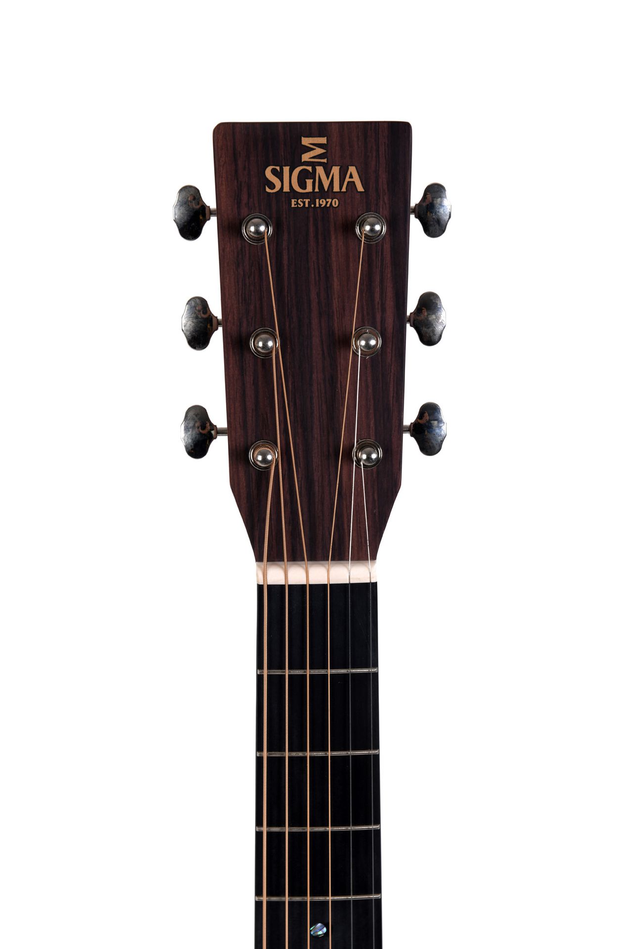 GUITACUSIG196_d.jpg