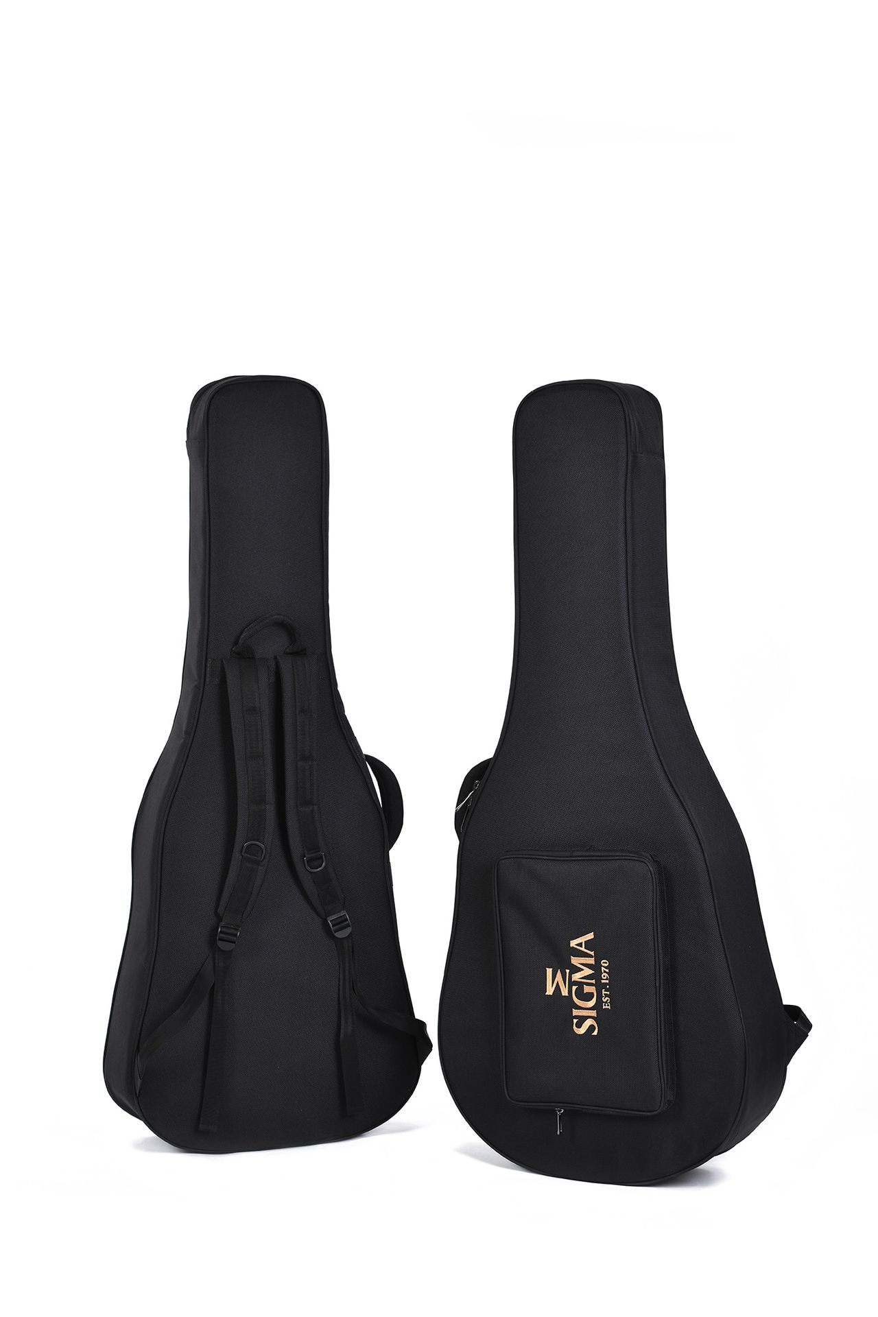GUITACUSIG308_f.jpg