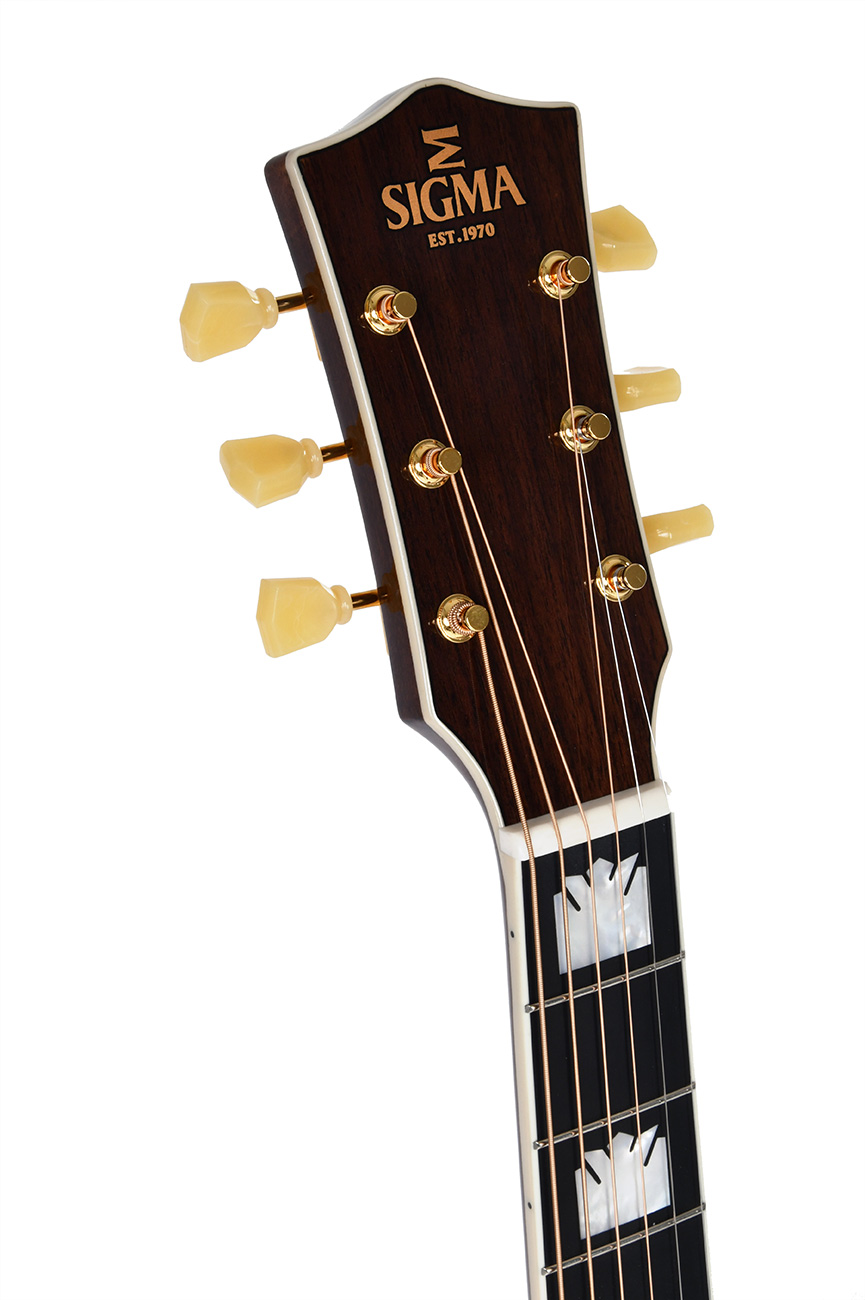 GUITACUSIG389_d.jpg