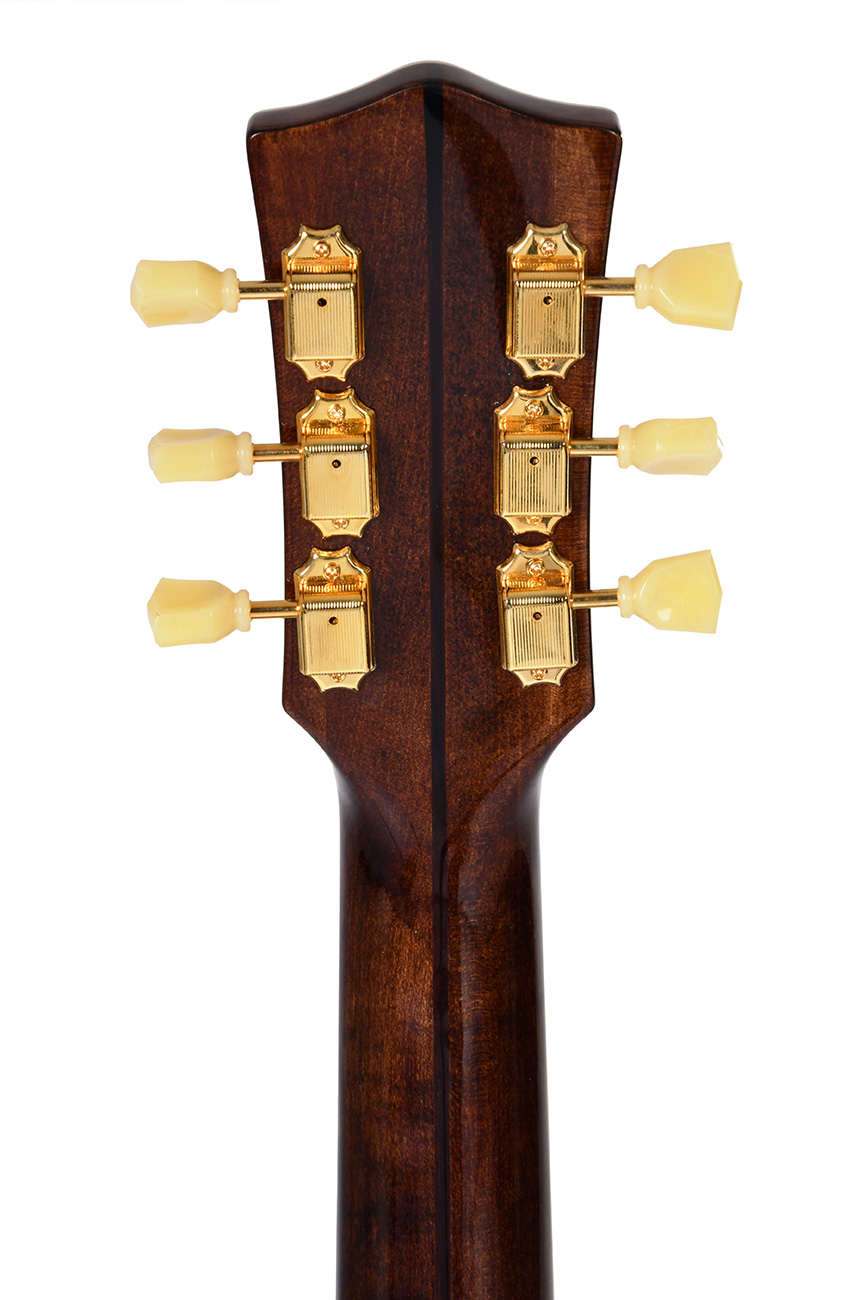 GUITACUSIG389_e.jpg