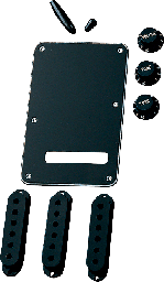 [KITSGUIFEN004] Fender Accessory Kit Stratocaster Black